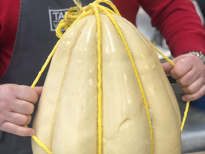 Provolone